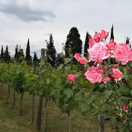 Borgo San Giusto * Empoli